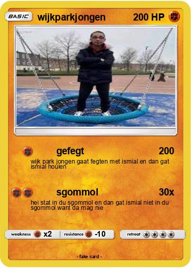 Pokemon wijkparkjongen