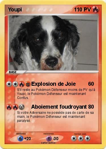 Pokemon Youpi