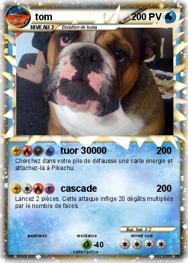 Pokemon tom