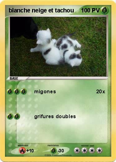 Pokemon blanche neige et tachou