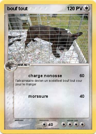 Pokemon bouf tout