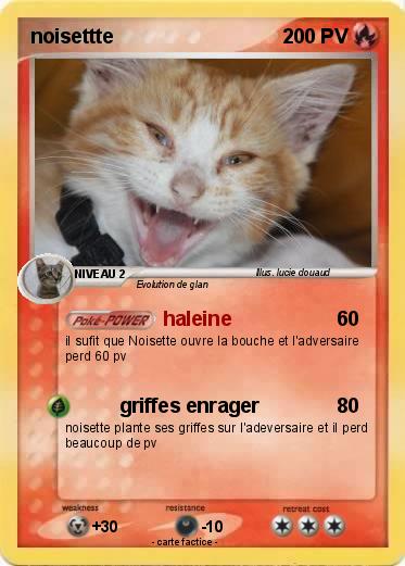 Pokemon noisettte