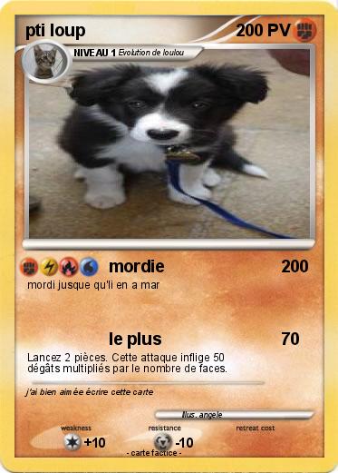 Pokemon pti loup