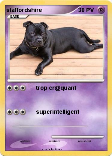 Pokemon staffordshire