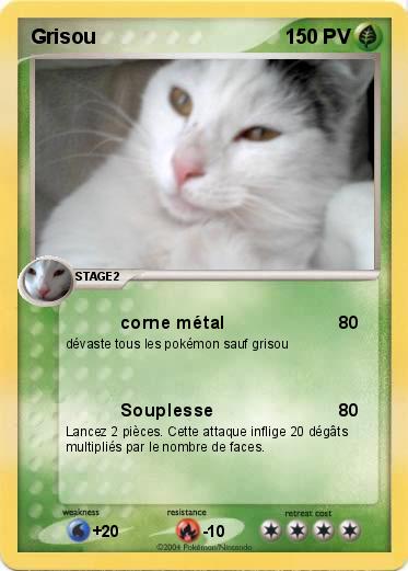 Pokemon Grisou