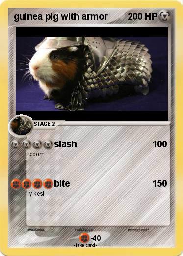 Pokemon guinea pig with armor