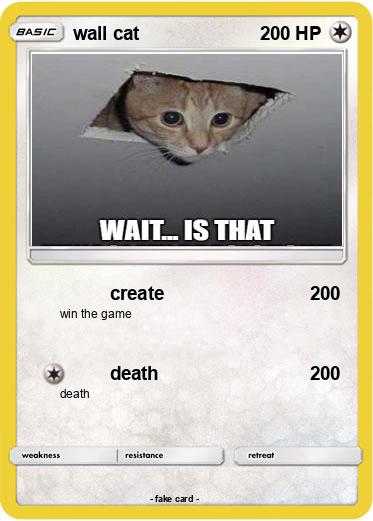 Pokemon wall cat