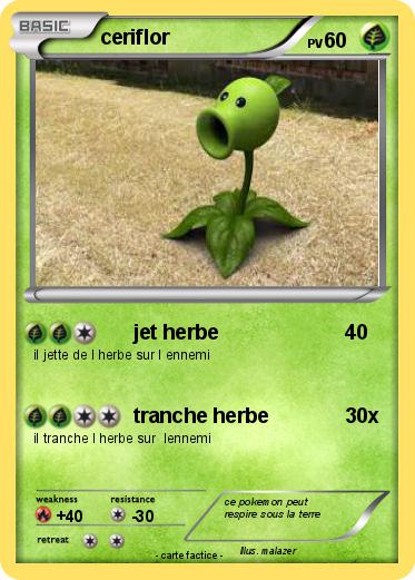 Pokemon ceriflor