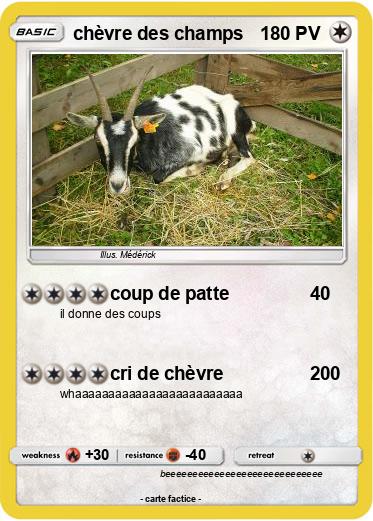 Pokemon chèvre des champs