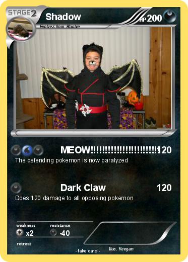 Pokemon Shadow