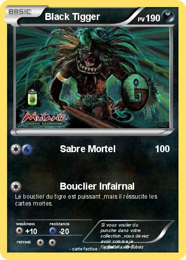 Pokemon Black Tigger