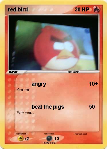 Pokemon red bird