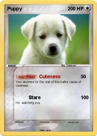 Pokemon Puppy
