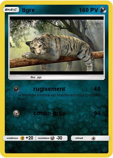 Pokemon tigre