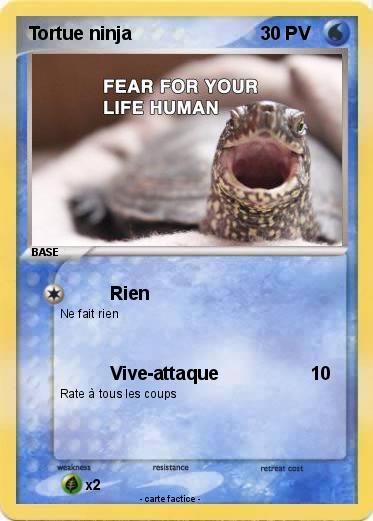 Pokemon Tortue ninja