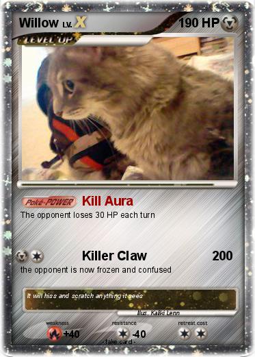 Pokemon Willow