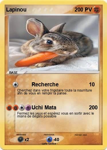 Pokemon Lapinou