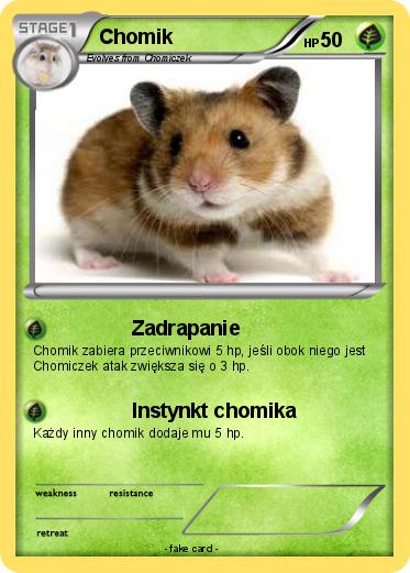 Pokemon Chomik