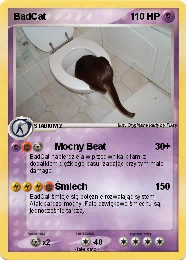 Pokemon BadCat