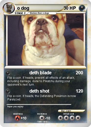 Pokemon o dog