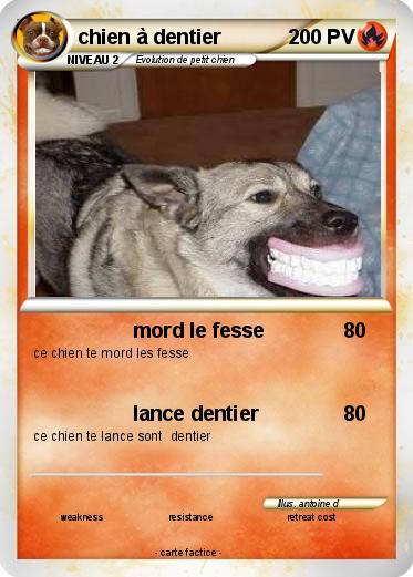 Pokemon chien à dentier