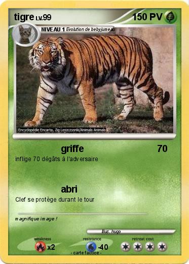 Pokemon tigre