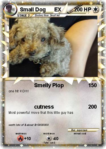 Pokemon Small Dog      EX