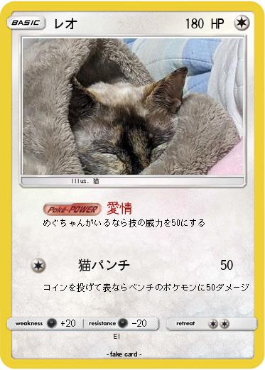 Pokemon レオ