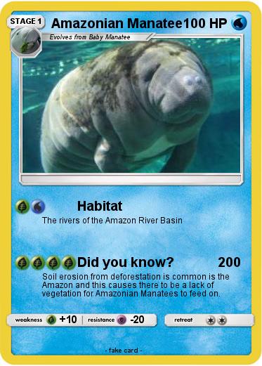 Pokemon Amazonian Manatee