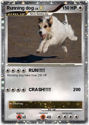Pokemon Running dog