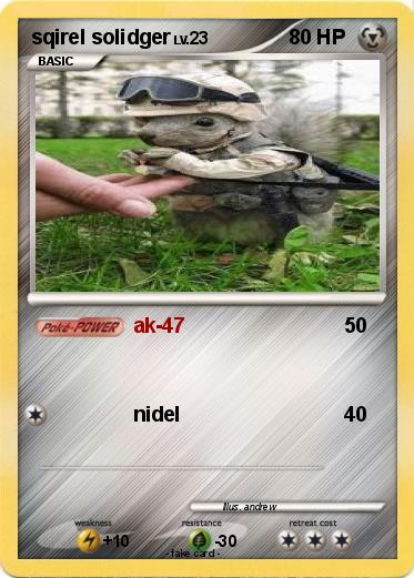 Pokemon sqirel solidger