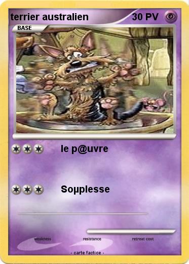 Pokemon terrier australien
