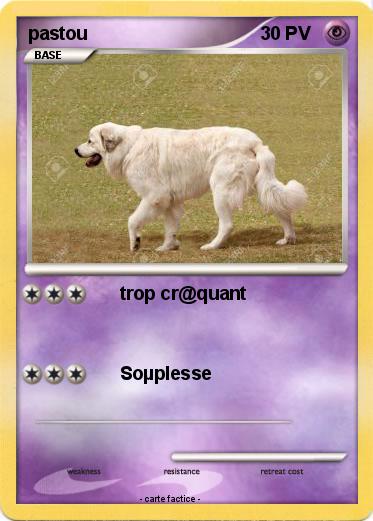 Pokemon pastou