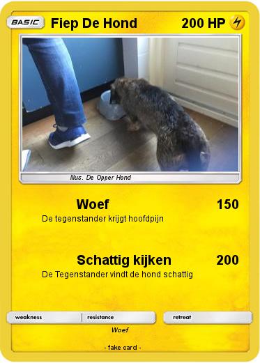 Pokemon Fiep De Hond