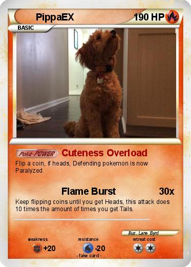 Pokemon PippaEX