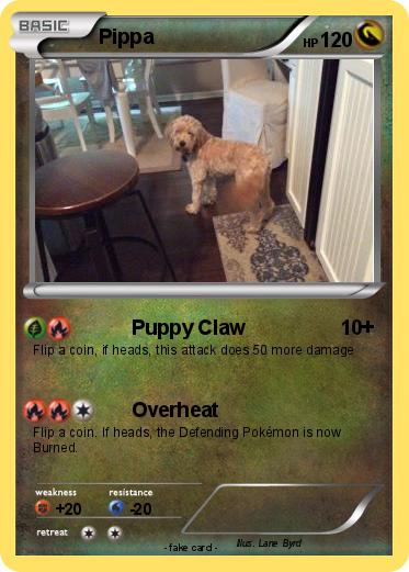 Pokemon Pippa