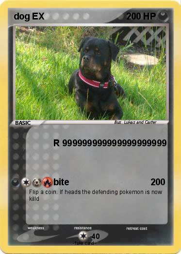 Pokemon dog EX