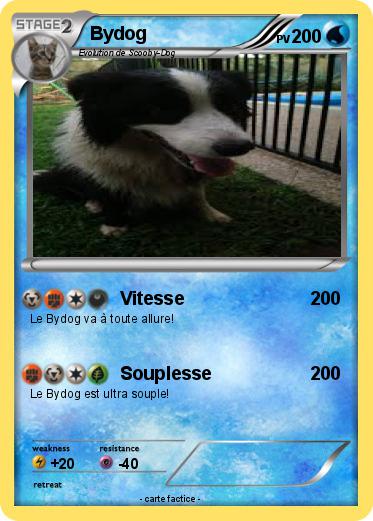 Pokemon Bydog