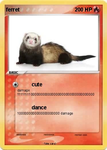 Pokemon ferret