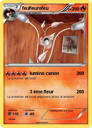 Pokemon feufleurofeu