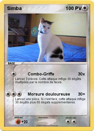 Pokemon Simba
