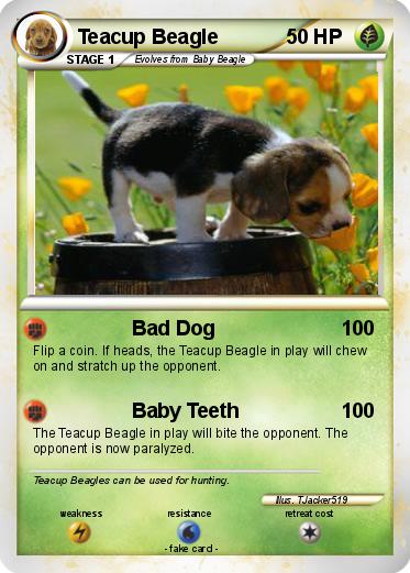 Pokemon Teacup Beagle
