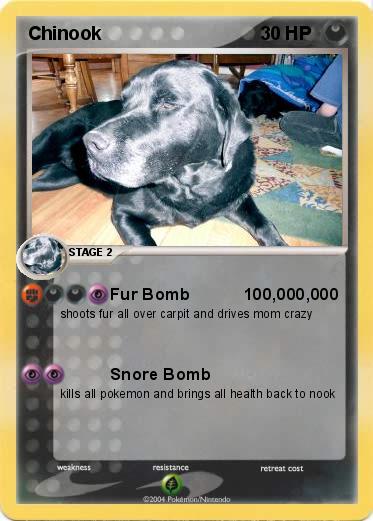 Pokemon Chinook