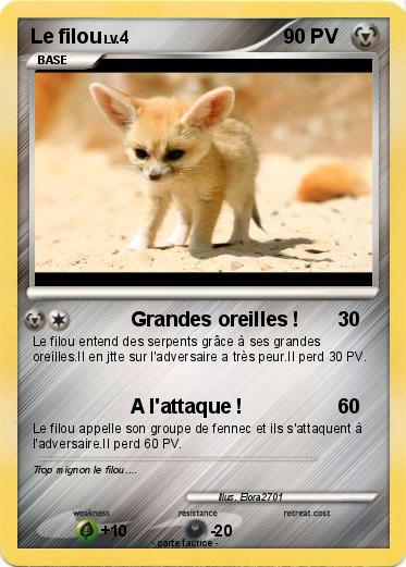 Pokemon Le filou
