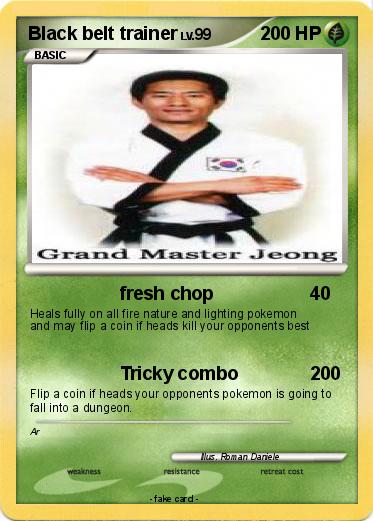 Pokemon Black belt trainer