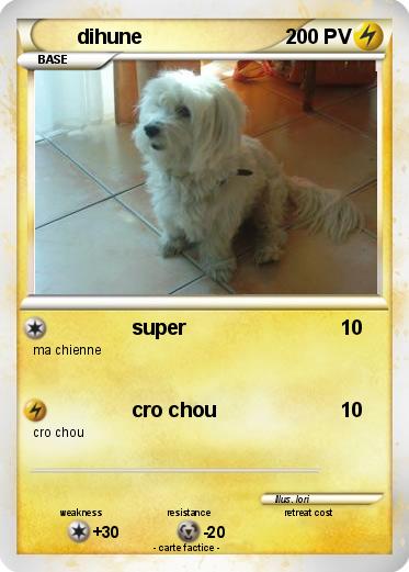 Pokemon dihune