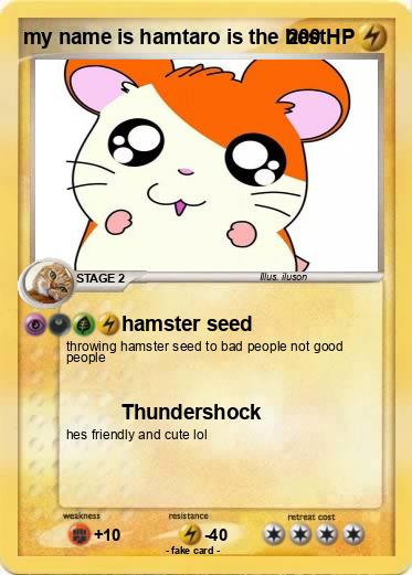 Pokemon my name is hamtaro is the best
