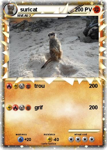 Pokemon suricat