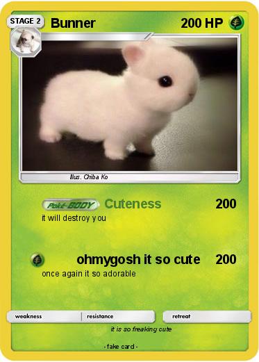 Pokemon Bunner
