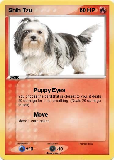 Pokemon Shih Tzu